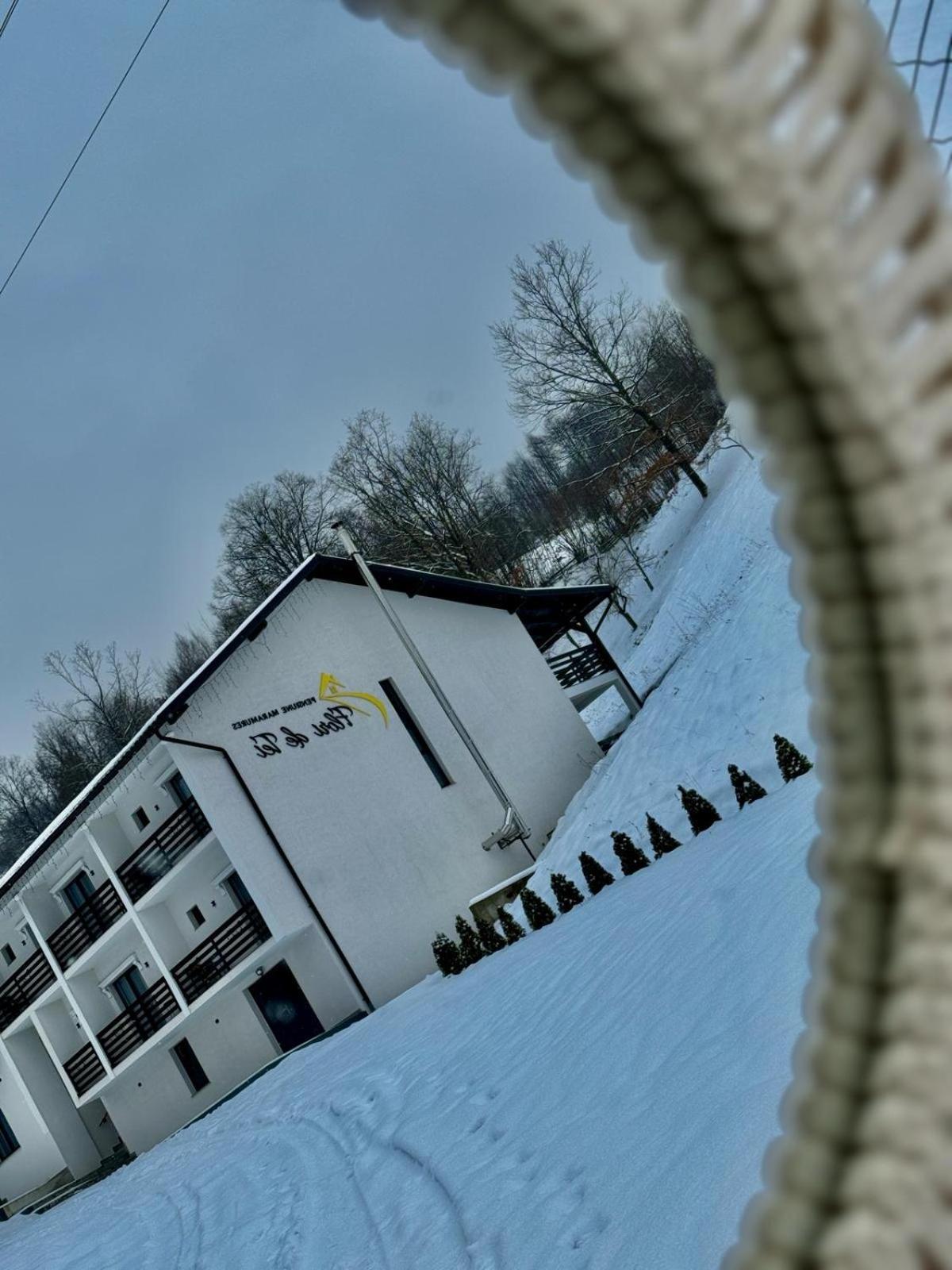 Flori De Tei Maramures Săcel Exterior foto