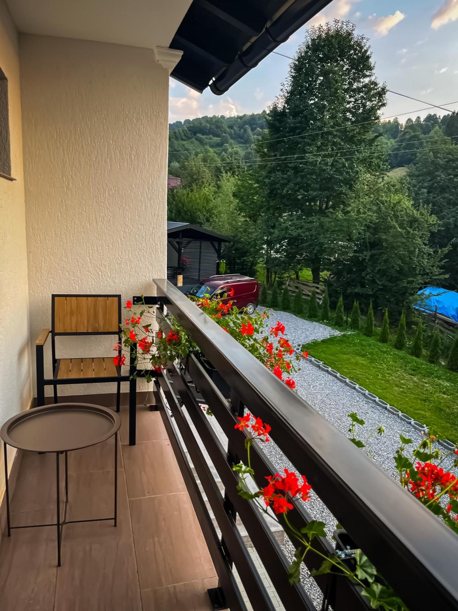 Flori De Tei Maramures Săcel Exterior foto